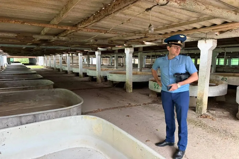 На осетровом заводе в Краснодарском крае выявили нарушения условий содержания рыбы